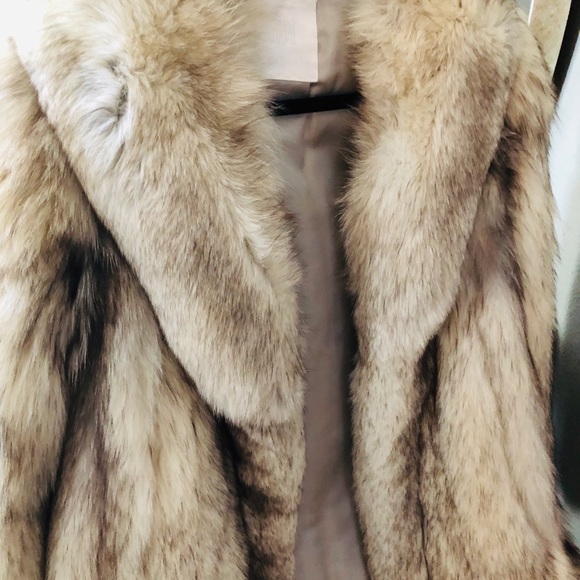 Fur - Picture 4 of 5